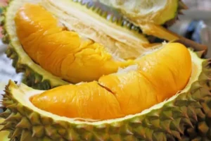 Kuliner Medan yang Paling Populer dan Sering Dibeli