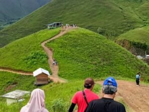 Pesona Bukit Holbung